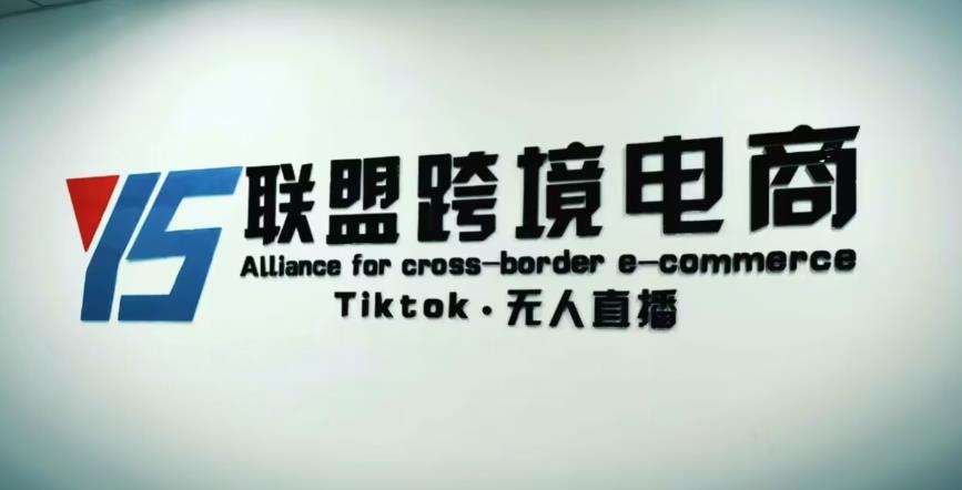YS联盟·Tiktok无人直播，不出镜不剪辑不拍摄不发货无售后的跨境短视频躺赚玩法-升阶有道