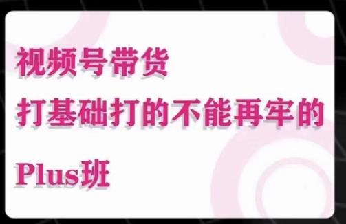 大播汇·视频号带货Puls班，视频号底层逻辑，起号自然流鱼塘等玩法-升阶有道