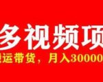 多多带货视频快速50爆款拿带货资格，搬运带货，月入30000【全套脚本+详细玩法】-升阶有道
