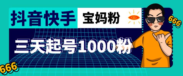 抖音快手三天起号涨粉1000宝妈粉丝的核心方法【详细玩法教程】-升阶有道