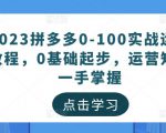 2023拼多多0-100实战运营教程，0基础起步，运营知识一手掌握-升阶有道