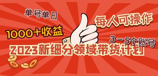 2023新细分领域带货计划：单号单日1000+收益不难，每人可操作3-5个账号-升阶有道
