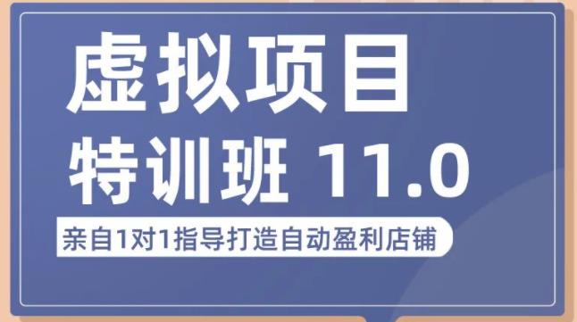 陆明明·虚拟项目特训班（10.0+11.0），0成本获取虚拟素材，0基础打造自动盈利店铺-升阶有道