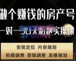 刘广标·同城房产号线上陪跑课,拍摄、剪辑、写文案、直播,做一个具有潜力价值的房产号-升阶有道