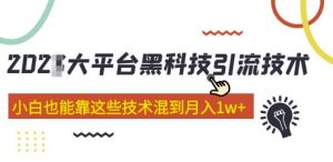 大平台黑科技引流技术，小白也能靠这些技术混到月入1w+(2022年的课程）-升阶有道