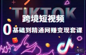 跨境短视频TIKTOK 0基础到精通网赚变现套课,跨境短视频独立站带货变现技巧-升阶有道