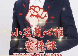 随心推线上课，小店随心推的投放逻辑，投放技巧，快速打标签-升阶有道