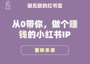 谢无敌·小红书运营大宝典，从0带你做个赚钱的小红书IP-升阶有道