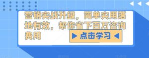 营销实战升级,简单实用落地有效,帮你省下百万咨询费用-升阶有道