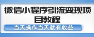 微信小程序引流变现项目教程,当天操作当天就有收益,变现不再是难事-升阶有道