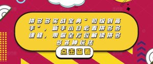 拼多多实战宝典“初级到高手”，新手小白必看拼多多课程，带你全方位解读拼多多各种玩法-升阶有道