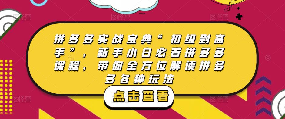拼多多实战宝典“初级到高手”，新手小白必看拼多多课程，带你全方位解读拼多多各种玩法-升阶有道