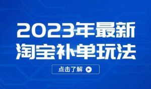 2023年最新淘宝补单玩法,18节课让教你快速起新品,安全不降权-升阶有道