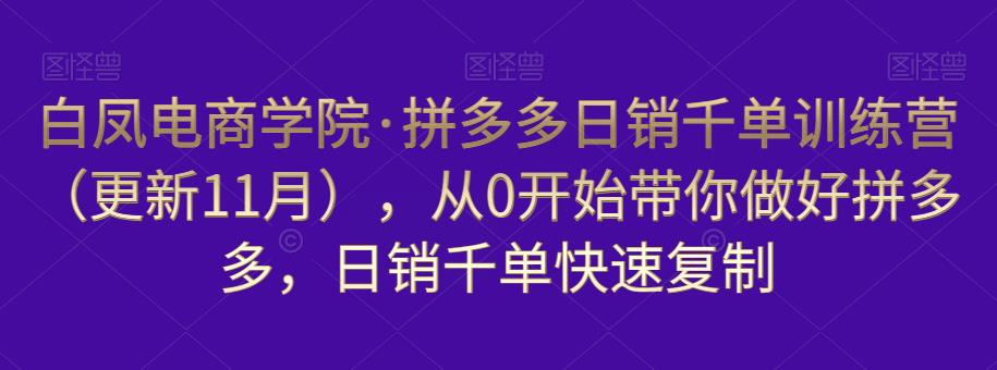 白凤电商学院·拼多多日销千单训练营，从0开始带你做好拼多多，日销千单快速复制（更新知2023年3月）-升阶有道