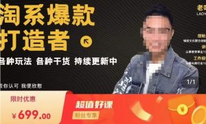 锋投老叶全店动销,淘系干货汇总,各种玩法,淘系爆款打造者-升阶有道