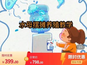 水母摆摊教学,包括摆摊技术、养殖技术、拿货渠道、抖音运营等-升阶有道