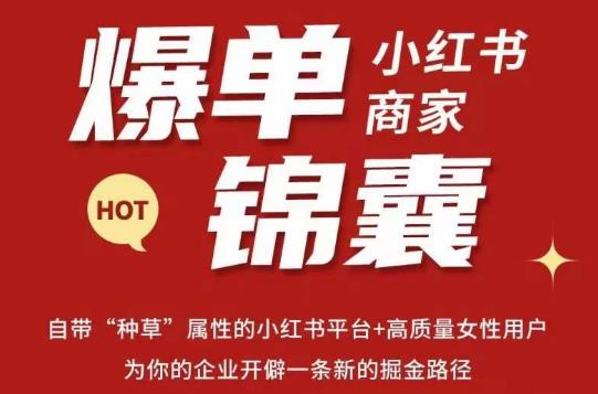 无畏·小红书商家爆单锦囊，掌握小红书各大规则，快速精准抢占行业和市场-升阶有道