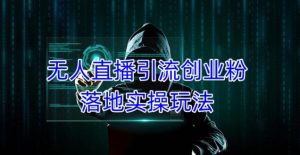 外面收费3980的无人直播引流创业粉落地实操玩法,单日引100+精准创业粉-升阶有道