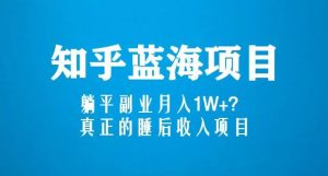 知乎蓝海玩法,躺平副业月入1W+,真正的睡后收入项目(6节视频课)-升阶有道