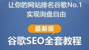 谷歌SEO实战教程:如何让你的网站在谷歌排名第一,内容从入门到高阶,适合个人及团队-升阶有道
