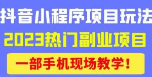 抖音小程序9.0新技巧,2023热门副业项目,动动手指轻松变现-升阶有道