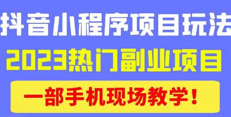 抖音小程序9.0新技巧，2023热门副业项目，动动手指轻松变现-升阶有道
