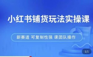 小红书铺货玩法实操课，流量大，竞争小，非常好做，新赛道，可复制性强，可团队操作-升阶有道