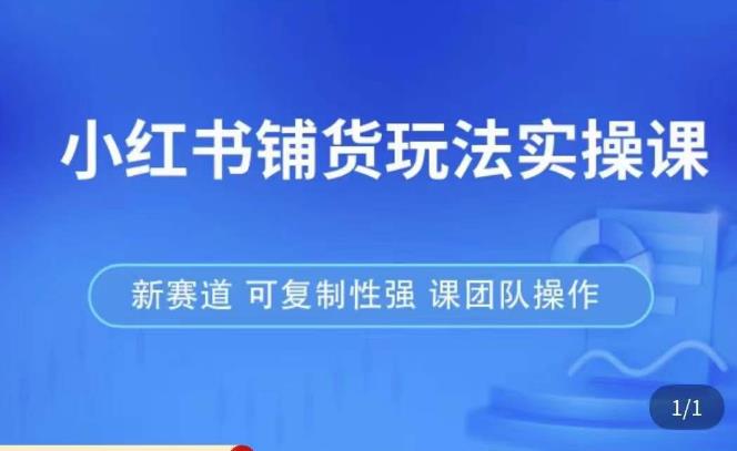 小红书铺货玩法实操课，流量大，竞争小，非常好做，新赛道，可复制性强，可团队操作-升阶有道