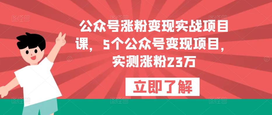 公众号涨粉变现实战项目课，5个公众号变现项目，实测涨粉23万-升阶有道