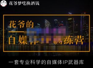 花爷的自媒体IP训练营【14期】,一套专业科学的自媒体IP武器库(更新2023年3月)-升阶有道