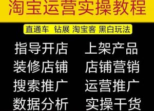 2023淘宝开店教程0基础到高级全套视频网店电商运营培训教学课程-升阶有道