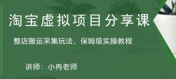 淘宝虚拟整店搬运采集玩法分享课：整店搬运采集玩法，保姆级实操教程-升阶有道