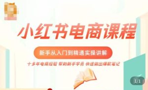小红书电商新手入门到精通实操课,从入门到精通做爆款笔记,开店运营-升阶有道
