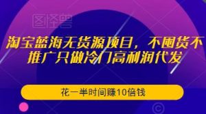 淘宝蓝海无货源项目,不囤货不推广只做冷门高利润代发,花一半时间赚10倍钱-升阶有道