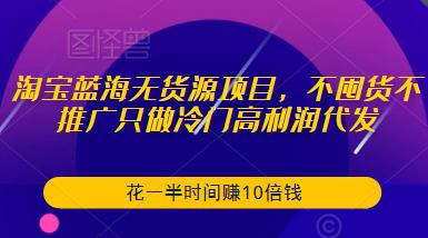 淘宝蓝海无货源项目，不囤货不推广只做冷门高利润代发，花一半时间赚10倍钱-升阶有道