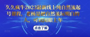 久久疯牛2023最新线上纯自然流起号课程，老杨是把自然流玩明白的人，可以闭眼上车-升阶有道