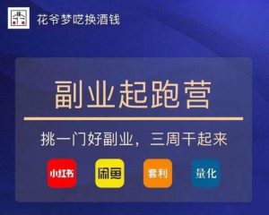 花爷-副业起跑营第2期，挑一门好副业，三周干起来（闲鱼｜小红书｜量化｜套利）-升阶有道