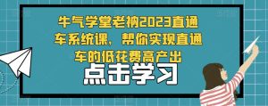 牛气学堂老衲2023直通车系统课，帮你实现直通车的低花费高产出-升阶有道