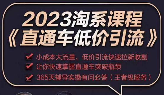 2023直通车低价引流玩法课程，小成本大流量，低价引流快速拉新收割，让你快速掌握直通车突破瓶颈-升阶有道