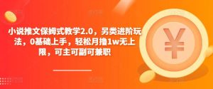 小说推文保姆式教学2.0,另类进阶玩法,0基础上手,轻松月撸1w无上限,可主可副可兼职-升阶有道