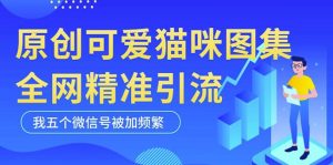 黑科技纯原创可爱猫咪图片，全网精准引流，实操5个VX号被加频繁-升阶有道