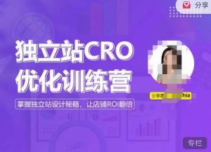 独立站CRO优化训练营，掌握独立站设计秘籍，打造高转化的独立站，让店铺ROI翻倍-升阶有道