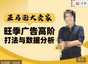 阿甘·亚马逊大卖家广告高阶打法与数据分析,走出传统广告误区;揭秘大卖惯用打法;数据驱动广告决策-升阶有道