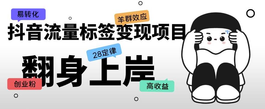 抖音流量标签变现项目，抖音创业粉轻松转化，单价高收益简单-升阶有道