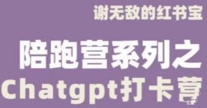 谢无敌ChatGPT打卡营，教你更好地使用ChatGPT来提高工作效率-升阶有道