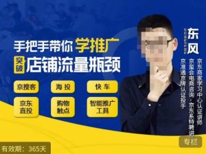 手把手带你学京东推广,突破店铺流量瓶颈,京搜客海投快车购物触点京东直投智能推广工具等-升阶有道
