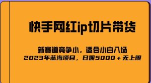2023爆火的快手网红IP切片，号称日佣5000＋的蓝海项目，二驴的独家授权-升阶有道