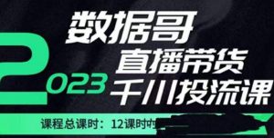 数据哥2023直播电商巨量千川付费投流实操课,快速掌握直播带货运营投放策略-升阶有道