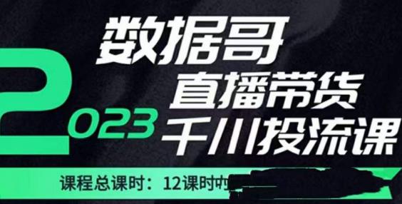 数据哥2023直播电商巨量千川付费投流实操课，快速掌握直播带货运营投放策略-升阶有道