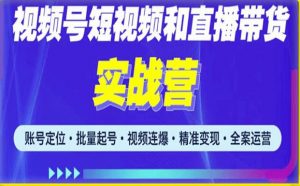 2023最新微信视频号引流和变现全套运营实战课程，小白也能玩转视频号短视频和直播运营-升阶有道